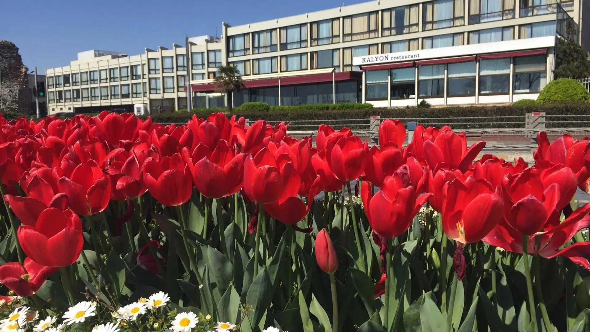 Kalyon Hotel Istanbul